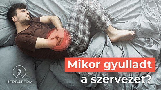 Mikor gyulladt a szervezet?