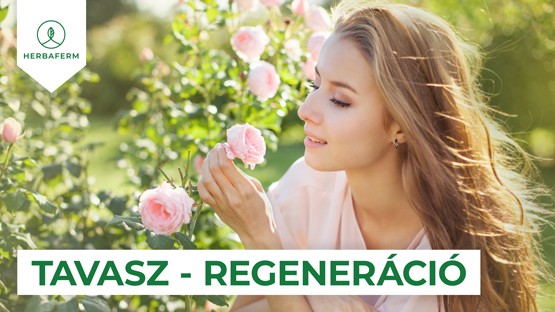 Tavasz – regeneráció
